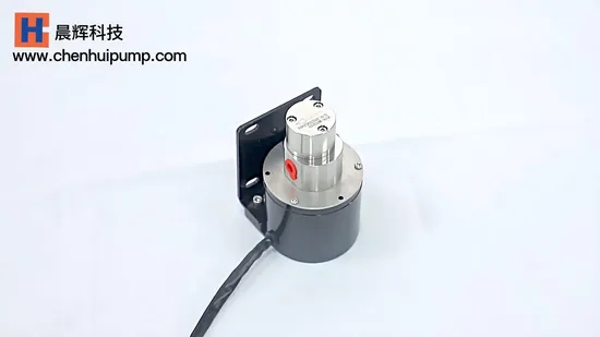 High Pressure 316L Stainless Steel Leakproof Metering Pump Micro Magnetic Gear Pump Water DC24V Brushless Integrated Motor for Coffee Machine